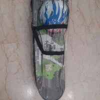اسکیت برد