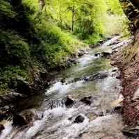 تور طبیعت‌ گردی