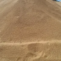 فروش جو و خوراک دام