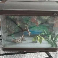 اکواریوم بطول۶۰