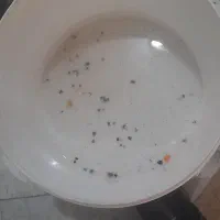 سنگ رنگی  شن  سفید