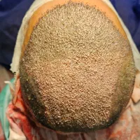 کاشتمو با هوش مصنوعی