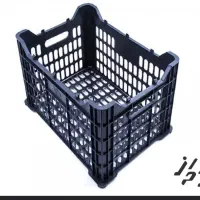 ۲۰۰کیلوسبدبه بالاترین قیمت میفروشم