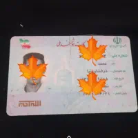 کارت ملی گم شده اگر کسی پیدا کرده لطف کنه خبربده