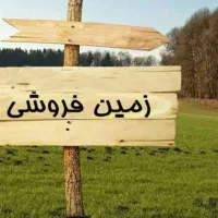 املاک-ناظر-زمین-مسکونی-بعد-از-پل-9-دی-پگاه-ها