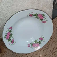 بشقاب چینی ورق بزنید