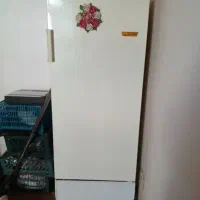 یخچال فریزر ارج