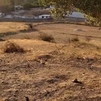 فروش ۷۳۰ متر زمین در شلمبه دماوند