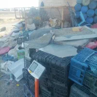 خرید ظایعات