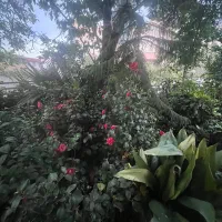 استخدام سرایدار