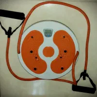 دستگاه ورزشی چرخونک مسگری