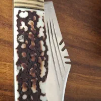 چاقو استیل زد زنگ