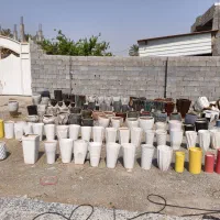 گلدان|گل و گیاه طبیعی|بندرعباس, |دیوار