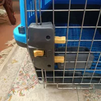 باکس