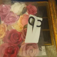 کش موی رز در رنگبندی مختلف