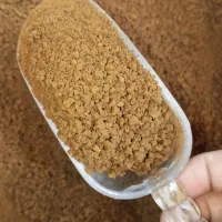 شکلات کنار قهوه فوری گلد کلاسیک کپسول قهوه ناکباکس
