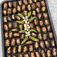 سفارش حلو برای مراسم ختم،روضه،خیرات