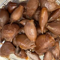 سیرترشی اعلا اصل به شرط