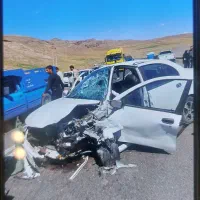 ساینا تصادفی