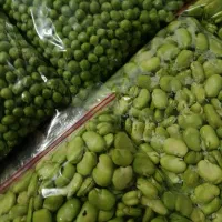 سبزیجات|حراج|قم, باغ شازده|دیوار