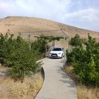 باغ-فروشی