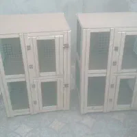 پرنده رنگی