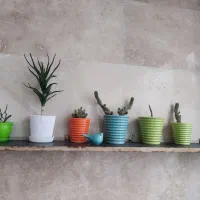 همه باهم سیصد