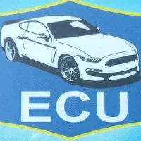 تعمیرات تخصصی ایسیو ودریچه گاز وریمپ وبرق خودرو