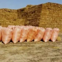 فروش کاه گندم