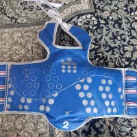 هوگو تکواندو دیدو
