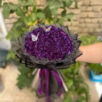 گل رز|گل و گیاه طبیعی|ارومیه, |دیوار