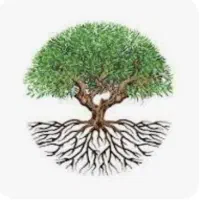 خدمات مشاوره ای با 40درصد تخفیف