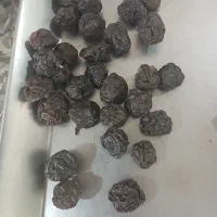 آلوچه مراغه
