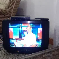 تلوزیون