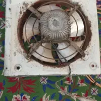 فن ..