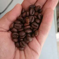 فروش عمده قهوه واردکننده مستقیم