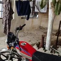 همخونه خانوم فقط خانوم
