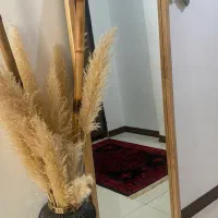 آینه قدی چوب راش