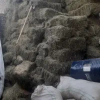 کاه یونجه اردجو سبوس سیلو کاه کاگلی