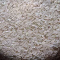 برنج کامفیروزی درجه یک به شرط