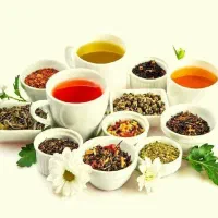 پخش گیاهان دارویی