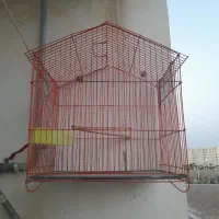 قفس کوچک