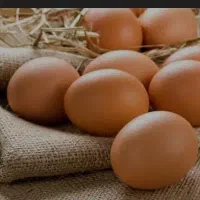 تخم مرغ