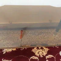 میز عسلس سالم
