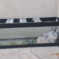 اکواریوم