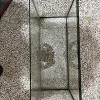 اکواریم