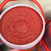 فروش عمده رب گوجه فدنگی