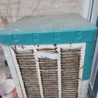 تنه‌کولر3100بدون پوسیدگی
