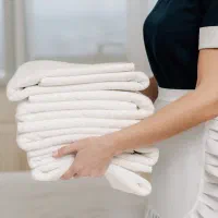 خدمتکار خانم برای منزل