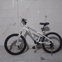 دوچرخه حرفه ای 24